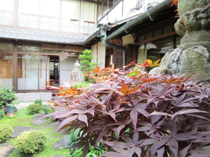 大正楼中庭　日本庭園