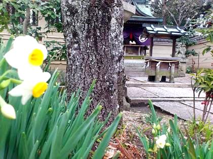 三輪坐恵比須神社
