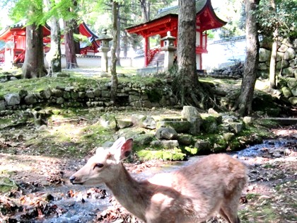 手向山八幡宮の祠