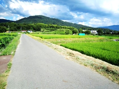 三輪山への道