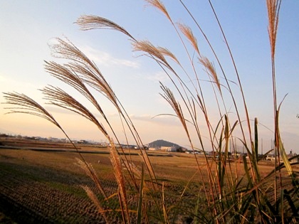 耳成山　大和三山