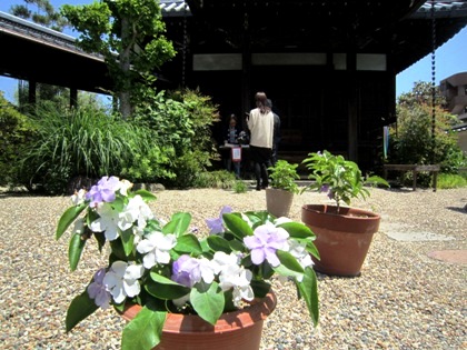 璉珹寺のニオイバンマツリ