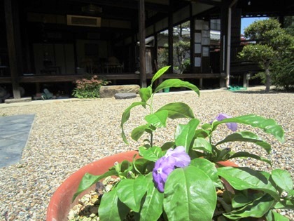 璉珹寺のニオイバンマツリ