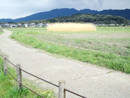 藤原宮跡　天香久山