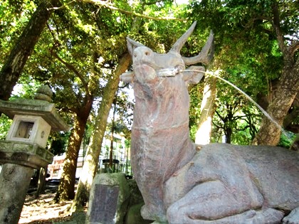 春日大社の手水場　奈良の鹿