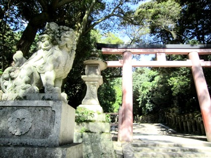 春日大社の狛犬　鳥居　神紋の下がり藤