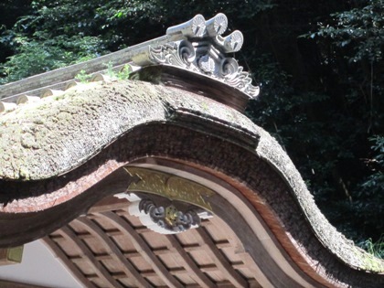 狭井神社の屋根