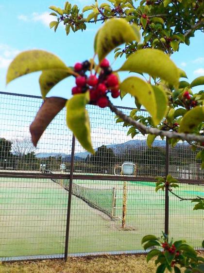 万葉の丘スポーツ広場