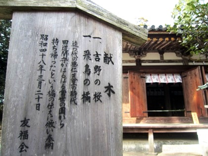 大直禰子神社の橘