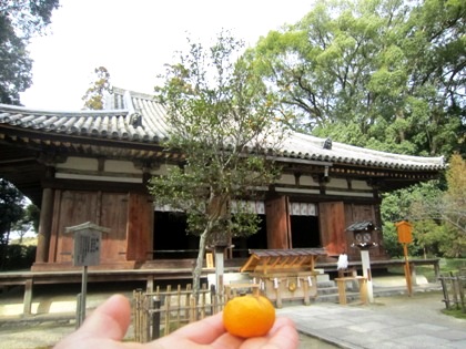 大直禰子神社の橘