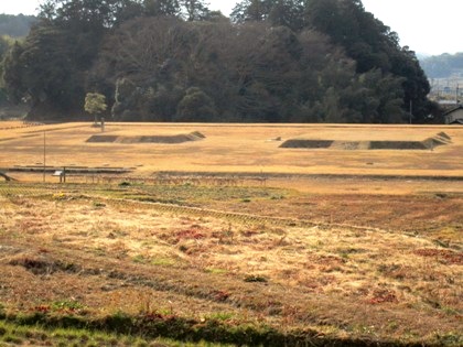 山田寺跡