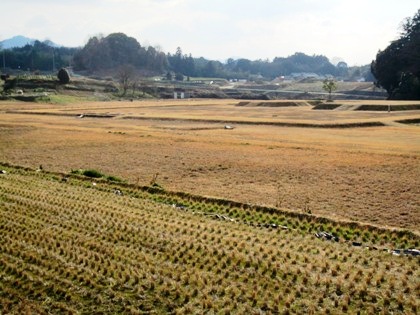 山田寺跡