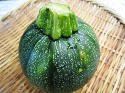 ズッキーニ　夏野菜